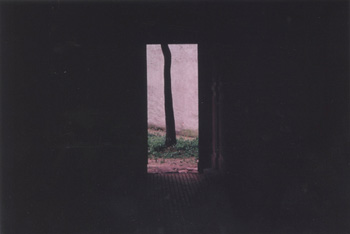 savelev / Black Tree, Chernowitz 